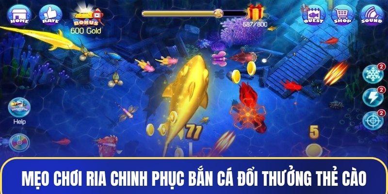 Mẹo chơi ria chinh phục bắn cá đổi thưởng thẻ cào