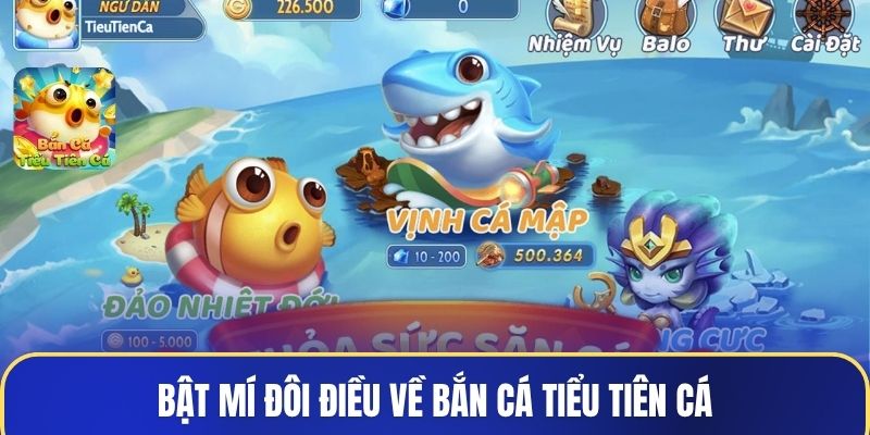 Bật mí đôi điều về bắn cá tiểu tiên cá