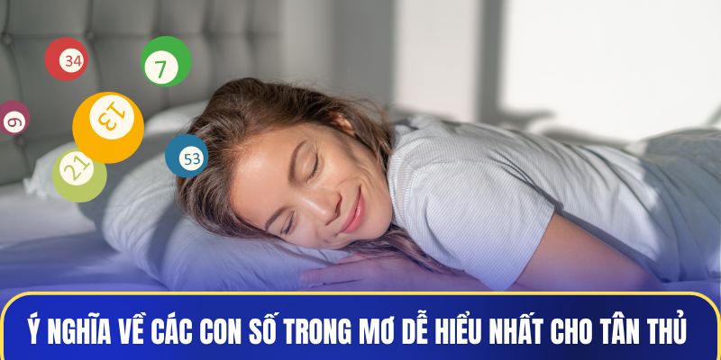 Ý nghĩa về các con số trong mơ dễ hiểu nhất cho tân thủ