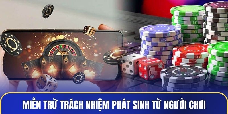 Miễn trừ trách nhiệm phát sinh từ người chơi hoặc thiết bị cá nhân