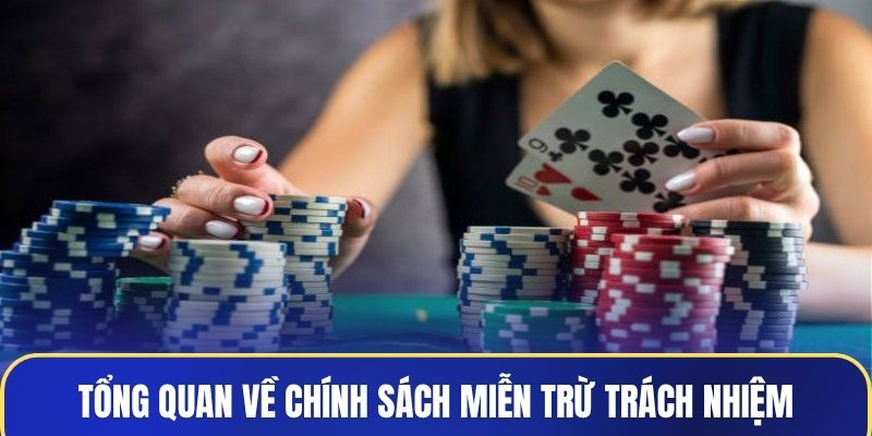 Tổng quan sơ lược về chính sách miễn trừ trách nhiệm
